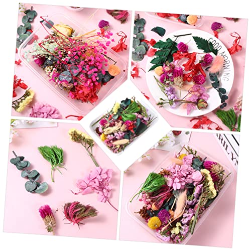 Flores Secas para Manualidades Decorativas Epoxi miniatura 4