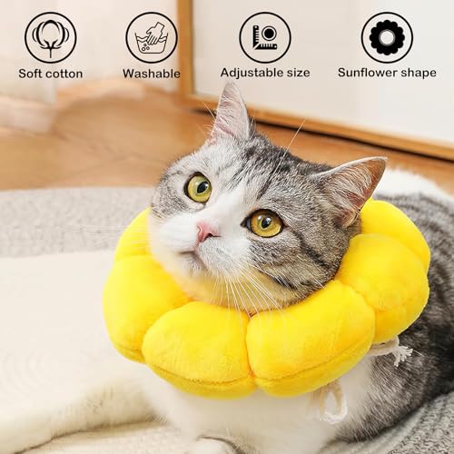 Halskrause Katze, Kragen Katze Set Mit Beißseil, Elisabethanischer Kragen Für Katzen, Verstellbares Halskrausen Für Katzen, Weicher Trichter Katze Für Katzen Mit Einem Kopfumfang Von 12-20cm