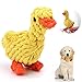 Chew Toys, Jouet de Nettoyage pour Dents,Jouets interactifs pour Chiens,Jouets en Peluchepour Chien,Convient aux Petits, Moyens et Grands Chiens (A)