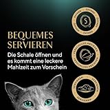 SHEBA Schale Nassfutter für Katzen Sauce Collection mit Pute in Heller Sauce 2 x 11 x 85g
