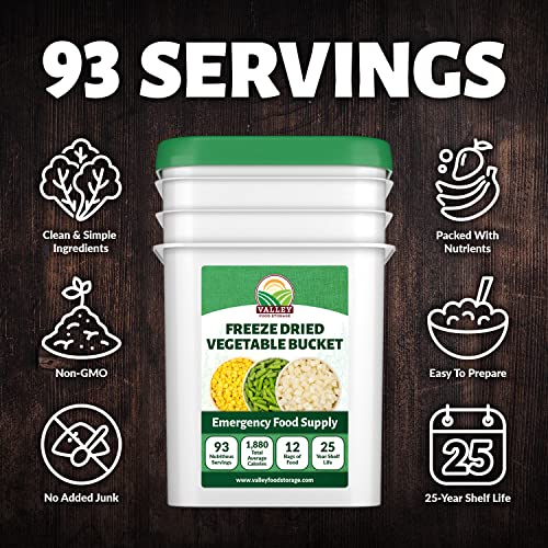 Image of Valley Food Storage Freeze Dried Vegetable Bucket | 12 Pouches, Mixed Vegetables | Premium Emergency Food Supply, 25 Year Shelf Life | Survival Food for Camping, Prepper Storage & Off-Grid Living