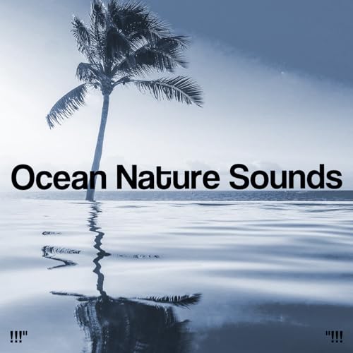 Play Ocean Nature Sounds by Nature Sounds Nature Music & Nature Sounds