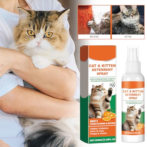 Recopilación de G de gato - 5 favoritos. 19 Imagen adicional