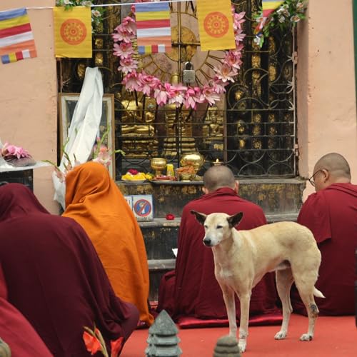 &iquest;Qu&eacute; es el Karma?