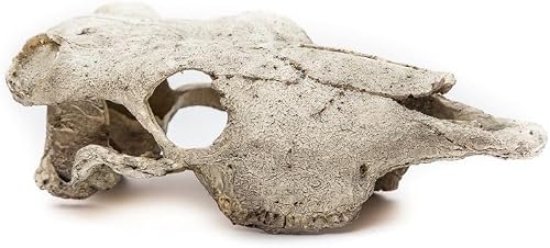 Buffalo Skull Terrarium Hide, Reptile and Amphibian Shelter Ornament, 22 x 8 x 12 cm / 8.7 x 3.1 x 4.7 in