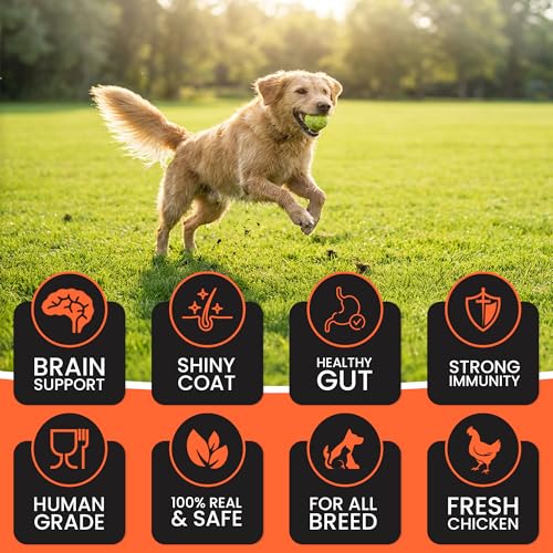 Image of Dr. Pets Pack of 3 (85g Each) Treetos Chicken Stix Dog Treats | Mix Flavour | Soft Chew Sticks for Puppies & Adult Dogs | Training Reward Snacks | Pouch Pack