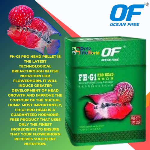 Image of VAYINATO Ocean Free FH-G1 Pro Head Flowerhorn Fish Food Pellets 120g | Natural Nuchal Hump Enhancer | High Protein Hormone-Free Formula | Premium Food for Flowerhorn Fish