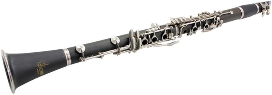 panno per la pulizia del clarinetto