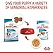ROYAL CANIN Mini Puppy | 4er Pack | 4 x 12 x 85 g | Nassfutter für kleine Hundewelpen | Bis zum 10. Lebensmonat | Feine Stückchen in Soße | Weiche Textur für die Milchzähne