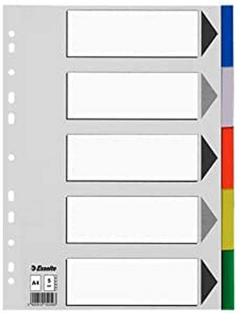 Esselte 795685 A4 5 Positions Polypropylene Divider