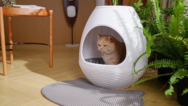 Amazon | インテリア 猫トイレ 大型 プランター型 おしゃれ 消臭 多頭