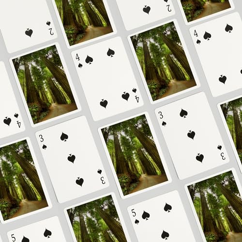 Baraja de Poker Redwood Forest Road Fotografía miniatura 4
