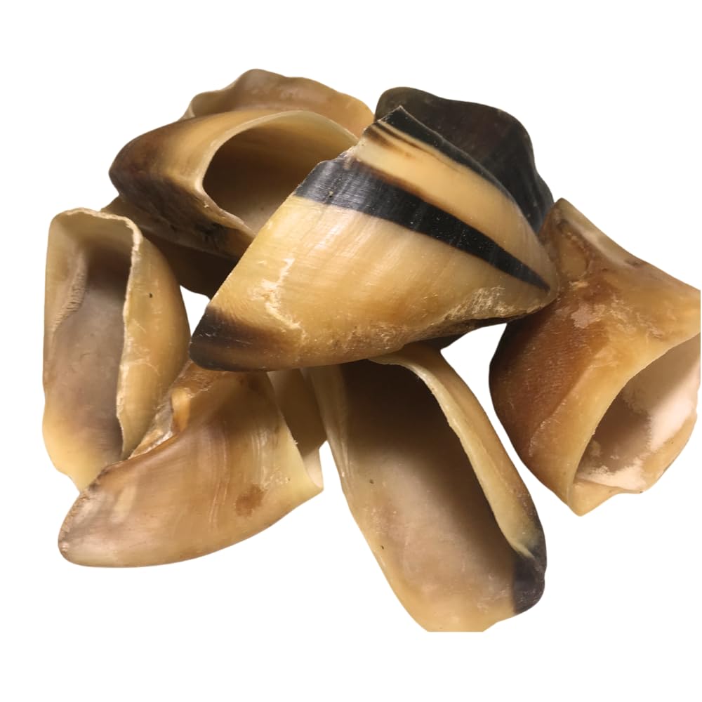 Amazing Dog Treats Premium Cow Hooves for Dogs (25 pc/pk) - Safe Cow Hoof Dog Chews - All Natural Beef Hooves Dog Treats Made from Grass-Fed Cattle - Best Natural Alternative to Rawhide