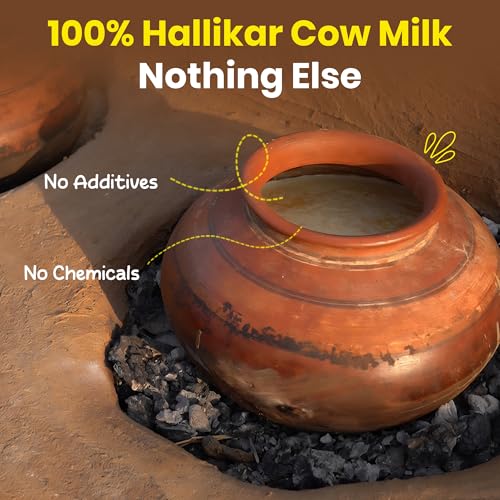 Image of The Bagdi's Organic A2 Hallikar Cow Ghee | Bilona Method | 100% Natural, Handmade (1000ml)