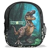 Mochila Dinossauro Rex Costas Tam M Alças Ajustáveis