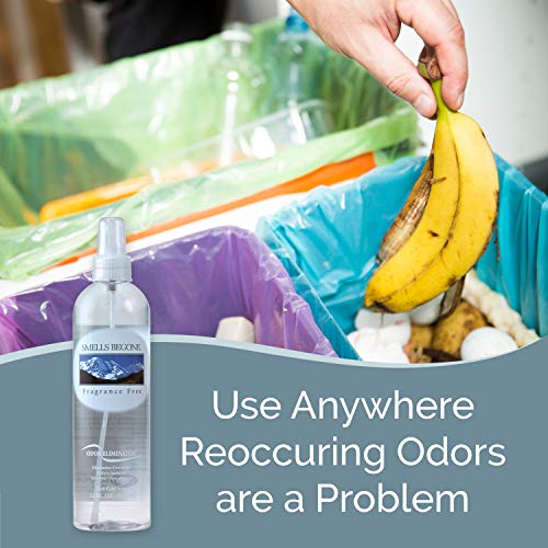 Smells Begone Air Freshener Spray - Odor Eliminator - Eliminates Odors From Smoke, Trash Cans, Cars, Pets & Boats - Fragrance Free - 2 Pack - 12 Ounce #TOP2