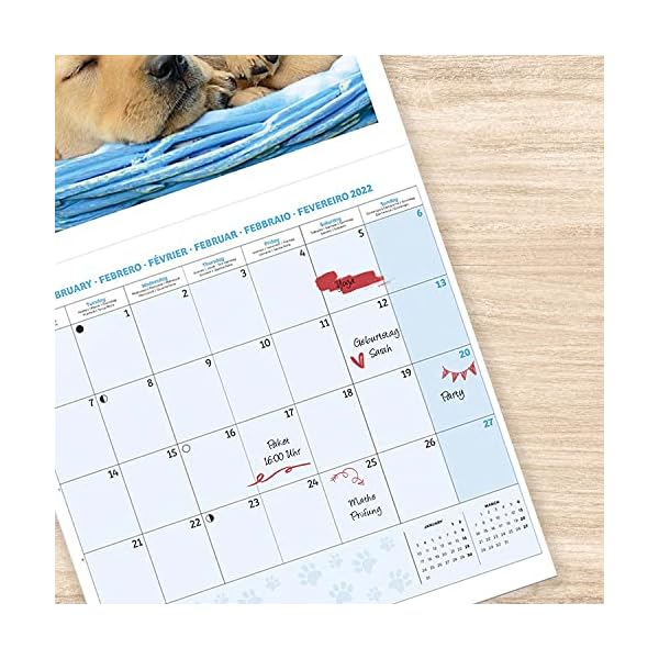 Grupo Erik Simon K. & Greg C. Hund Kalender 2022 Wandkalender 2022 Groß für 16 Monate – Bild 6