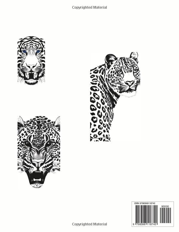 Miniatura 2 de S.O.U.L. Heroes Big cat coloring book