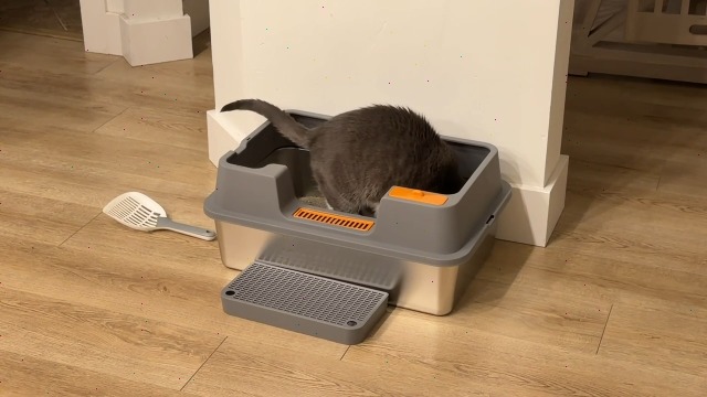 Amazon | OROLEY ステンレス製 猫トイレ XXXL 大型猫対応 深型 ハイ