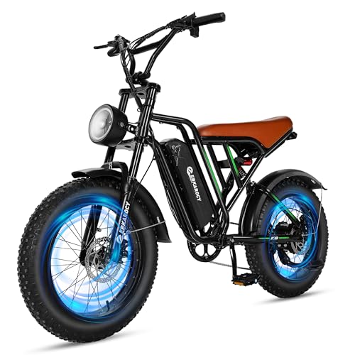 750W Electric Bike for Adults