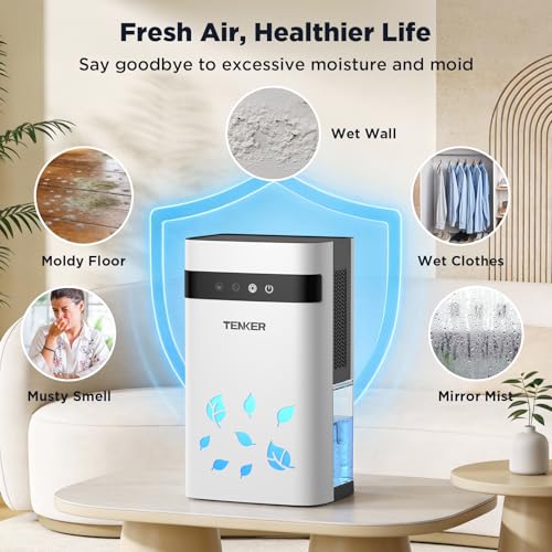 Commercial Dehumidifier with Pump