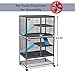 MidWest Homes for Pets Ferret Nation Double Unit Small Animal Cage, 4 Tiers, Includes Pans, Shelves, Ramps & Covers, for Ferrets & Small Animals