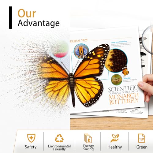 Image of Compatible with Toshiba T-3028U Toner Cartridge Work for Toshiba E Studio 2528A 3528A 4528A Printers, with Chip, High Yield 8000 Pages, High-Definition Printing (2-Pack Black)