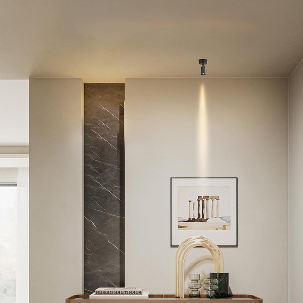 Directional Flush Mount Spot Light LED Ceiling Spotlight Adjustable Spots, 350° Rotation Wall Swivel Lamps Focus Lighting Fixture for Living Room Bedroom Hallway