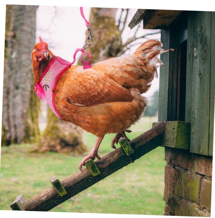 Image of Chicken Harness with Leash for Small Pets, Adjustable Elastic Breathable Vest for Hens Ducks Geese Outdoor Walking Training