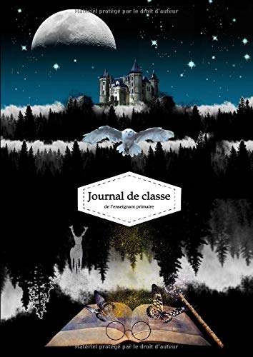 Télécharger Journal de classe de l'enseignant primaire: Agenda de bord Harry Potter A4 - 250 pages - trimestriel Francais PDF