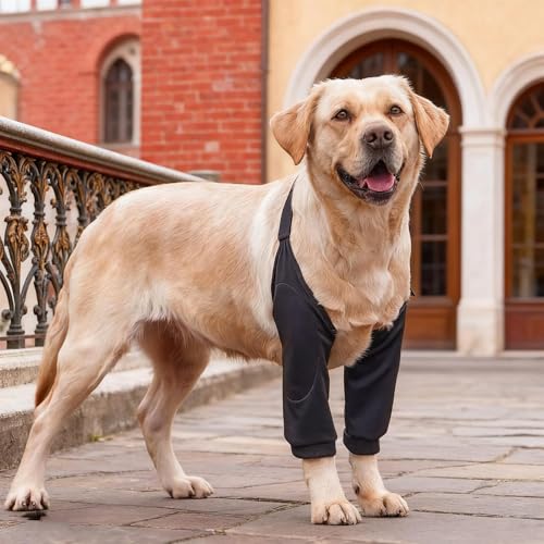 HECHKJ 2 Stück Ellenbogenschoner Hund, Schwarz und Grau Netzstruktur Kniebandage Hund, Größe XXL Verstellbar Ellenbogenbandage Hund, zum Schutz der Gelenke und Knie von Hunden