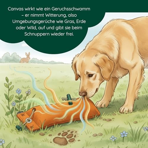Romneys Standard-Dummy 500g Hundeapportel - Extrem robust und schwimmfähig (Orange)
