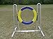 Self-Reset Dog Agility Tire Jump with Non-Rust Aluminum Alloy Frame