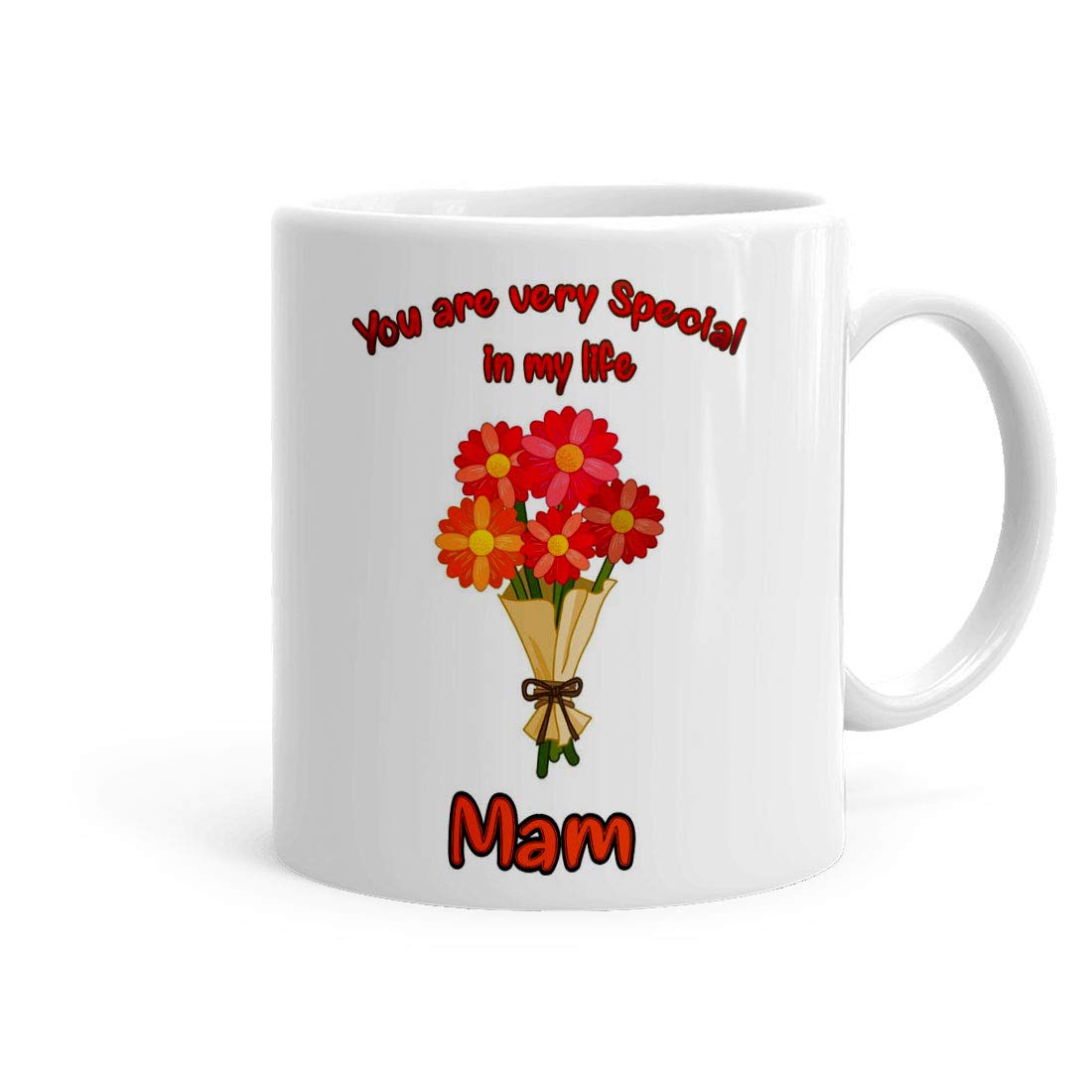 Kesri Gifts You are Very Special Mam Theme Printed Coffee Mug (325ml)(KPD4-Mam) - Gift for Mam