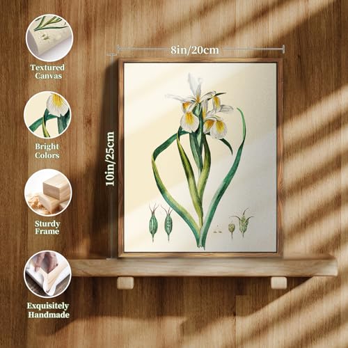 crmotu Botanical Framed Wall Art, Iris Floral Canvas Art Wall Decor, Nature Plant Aesthetic Vintage Prints, Minimalist Still Life Bathroom Bedroom Home Office Kitchen Decorations Artwork, 8x10inch