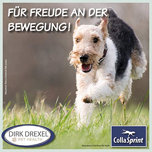 Dirk Drexel Collasprint mit Hyaluron I Hochwertiges Kollagen für Hunde in Pulverform I Unterstützt die Gelenke und Agilität I 250 g