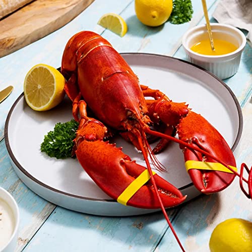 Maine Lobster Now: 6 Pack Of 1.5 Lb Live Maine Lobster #TOP2
