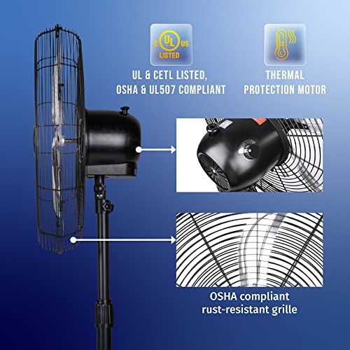 Tornado 20 Inch High Velocity Metal Oscillating Pedestal Fan Commercial, Industrial Use 3 Speed 5000 Cfm 1/6 Hp 6.6 Ft Cord Ul Safety Listed #TOP5