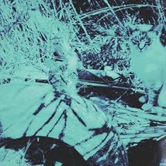 ���̂悤�ȓ��X / ����PAM