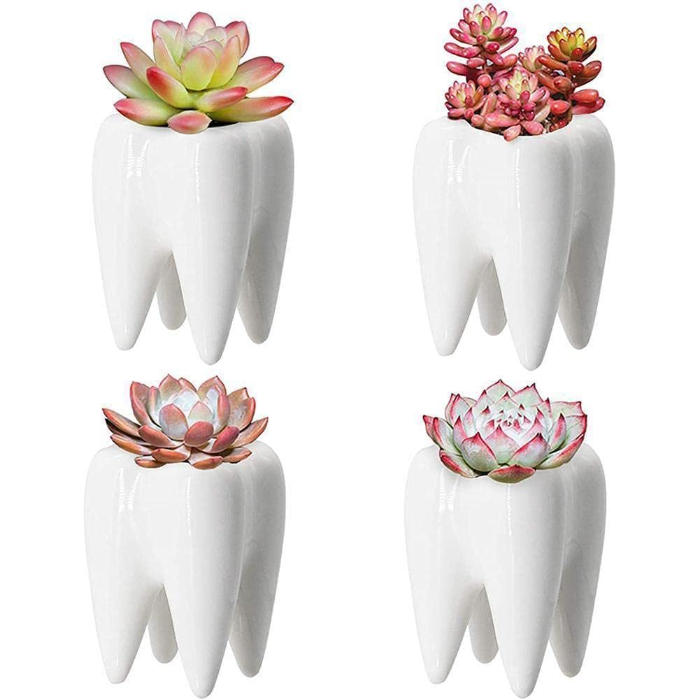 2 Stück Sukkulenten-Töpfe Aus Keramik – Zahn-Design, Weiß, 7x10 Cm