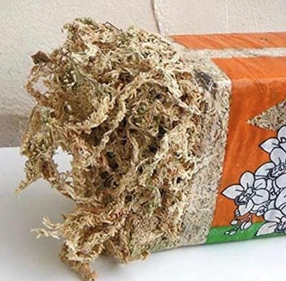 Amazon | ニュージーランド産 ミズゴケ水苔5A/3A (5A 80L) | 用土