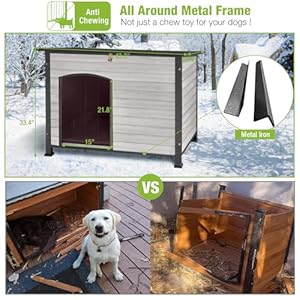 Gutinneen Dog House Insulated Outdoor Dog Kennel with Liner for Winter Largeoffwhite  Cucciolini Doodles Gutinneen dog house insulated outdoor dog kennel with liner for winter largeoff white   cucciolini doodles