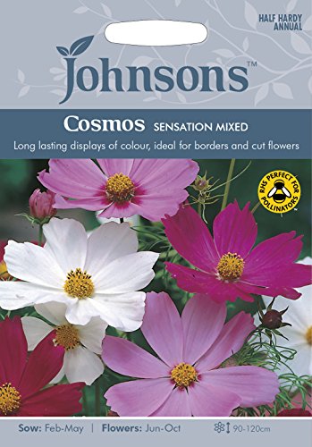 Johnsons 24163 Flower Seeds, Cosmos Sensation Mixed