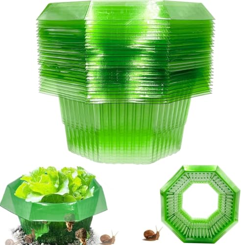 20 Stück Schneckenkragen,Schneckenschutz,Schneckenkragen aus Plastik,Schneckenschutzringe,Schneckenzaun zur Abwehr von Schnecken,für Ihre Salatpflanzen und Kohl - Schützt Pflanzen vor Tierfraß