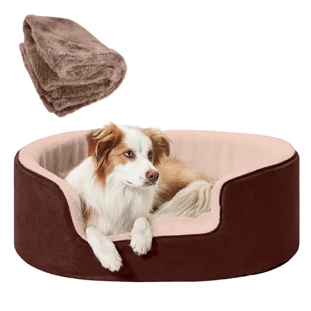 DRILLY Premium Fur Washable Dog/cat Fur Orthopedic Bed with Blanket for Small| Medium| Large| extralarge | XXL | XXXL |4XL Size Dogs|Cats |Puppy|pet| Rabbit|Persian cat|Indoor cat (4XL) (B0DCZD2PQR) Amazon Price History, Amazon Price Tracker
