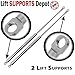Qty (2) 3/8" Eyelet End Lift Supports"Stainless Steel" 25" extended x 30lbs