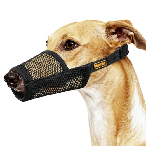 Mayerzon Greyhound Whippet Dog Muzzle, Soft Mesh, Black, M