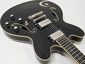 PlasticTree 有村竜太朗モデルギター 夜想 有村竜太朗 | ESP GUITARS