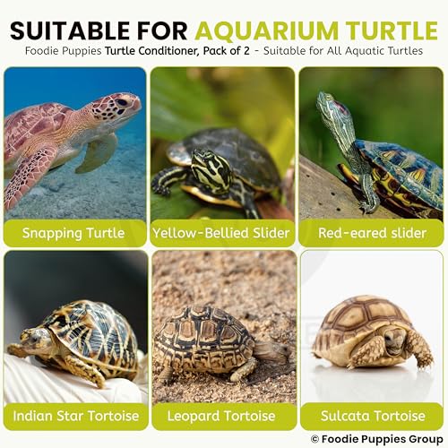 Image of Foodie Puppies Turtle Conditioner Blocks for Aquatic Turtles (Pack of 2) | Calcium & Vitamin D3 Enriched Formula | Supports Strong Shell, Clean Water & Healthy Growth for Turtles & Aquatic Reptiles