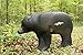 Shooter 3D Archery Bear Target, Black, One Size